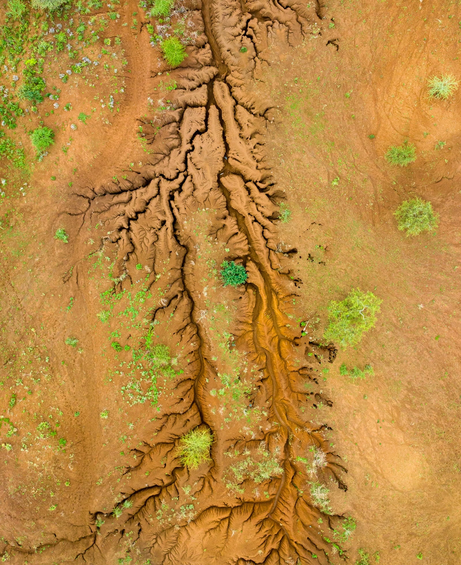 Apart-zeroCO2-Corporate-Roots-Image-03